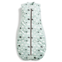ergoPouch Śpiworek do Spania 2-12M 1.0TOG