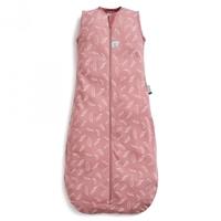 ergoPouch Otulacz Śpiworek 0-3M Quill