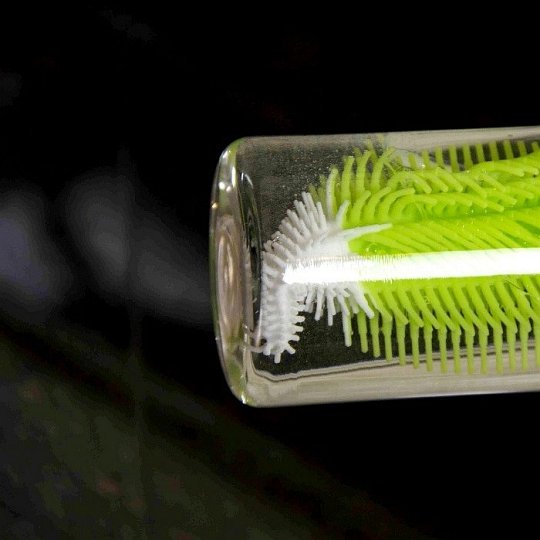 Innobaby Szczotka do Butelek 2w1 Green