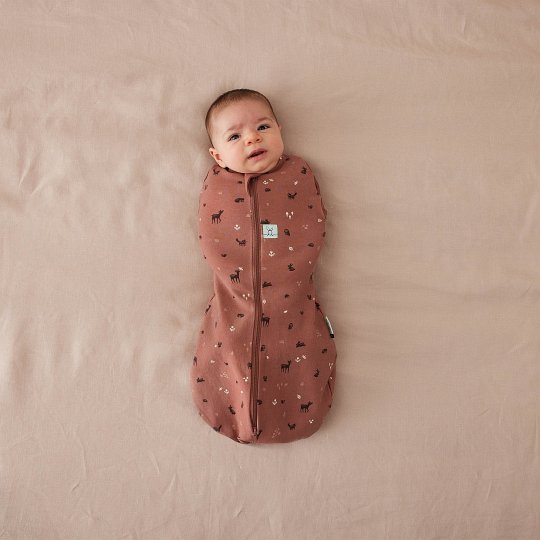 ergoPouch Otulacz Śpiworek 3-6M 1.0TOG Forest Friends