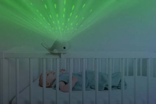 Zazu WALLY Projektor Wieloryb Green