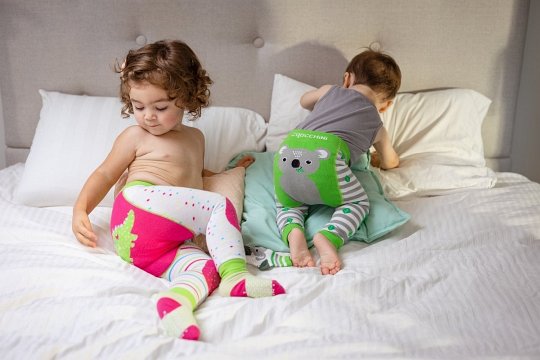Zoocchini Legginsy i Skarpetki Koala 6-12M