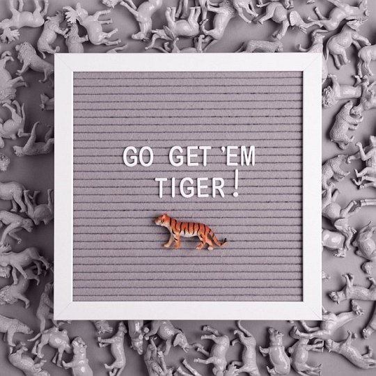 Pearhead Tablica z Literkami Gray