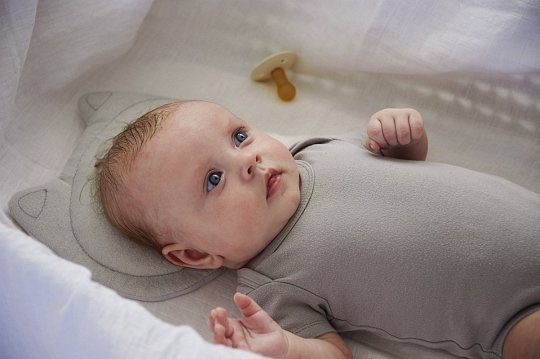 Tineo Poduszka Dla Niemowlaka Little Wolf