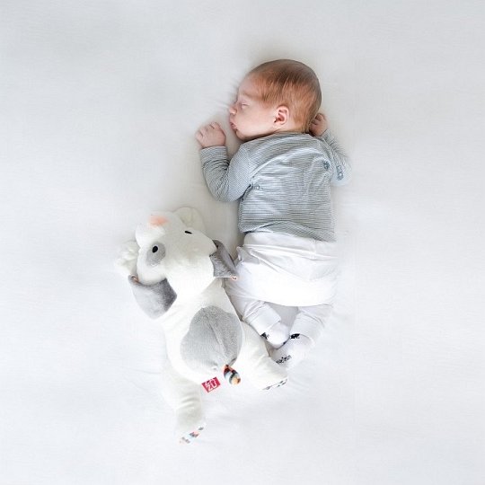 Zazu DEX Szumiąca Przytulanka Pies