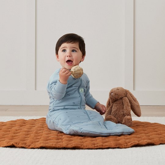 ergoPouch Śpiworek Jersey z Rękawami 8-24M 2.5TOG Dragonflies