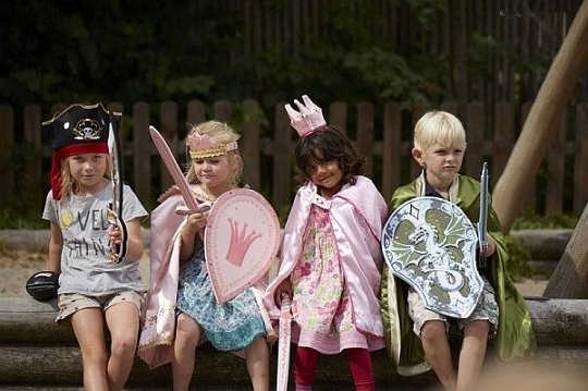 Liontouch Dragon Tarcza Rycerz