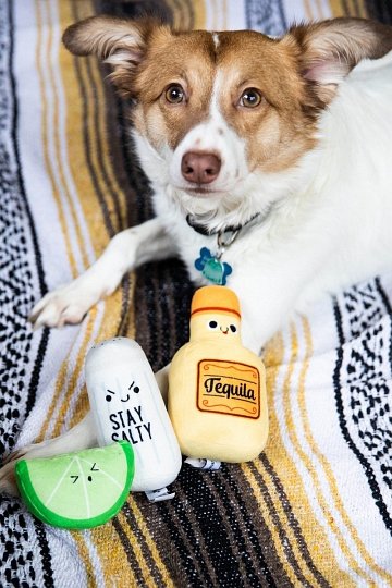 Pearhead Zabawka Dla Psa Tequila Shots