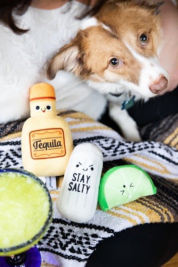 Pearhead Zabawka Dla Psa Tequila Shots