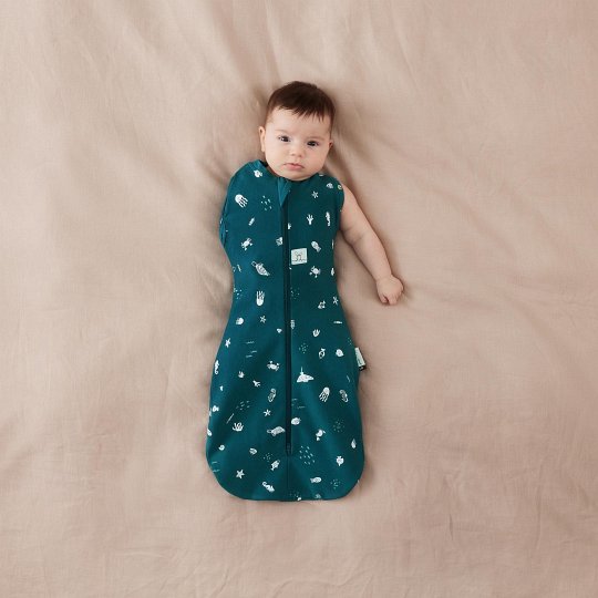 ergoPouch Otulacz Śpiworek 6-12M 1.0TOG Ocean