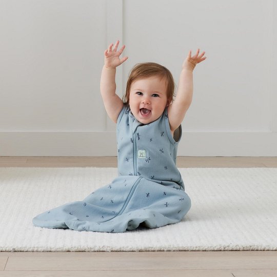 ergoPouch Śpiworek Jersey 3-12M 0.2TOG Dragonflies