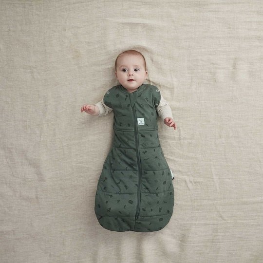 ergoPouch Otulacz Śpiworek 3-6M 2.5TOG Veggie Patch