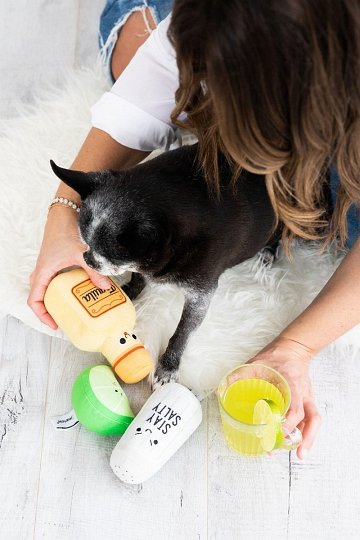 Pearhead Zabawka Dla Psa Tequila Shots