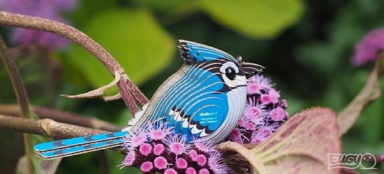 Eugy Układanka Eko 3D Ptak Modrosójka