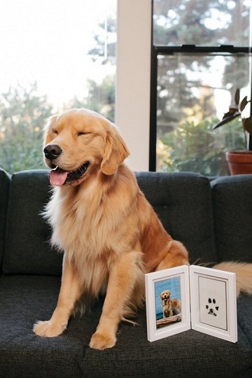 Pearhead Ramka z Atramentowym Odciskiem Łapy Pupil Stojąca White