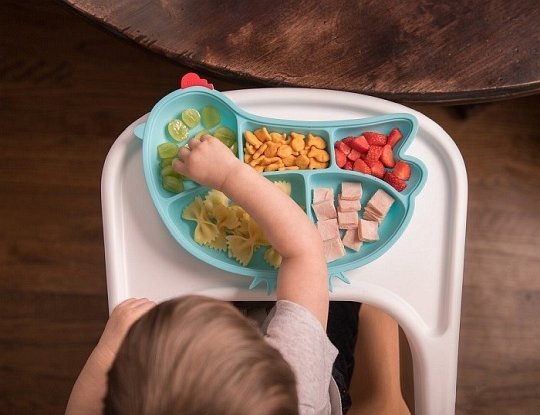 Innobaby Talerzyk z Przyssawką Chicken Blu