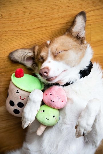 Pearhead Zabawka Dla Psa Bubble Tea