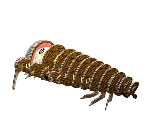 Eugy Układanka Eko 3D Brązowe Kiwi