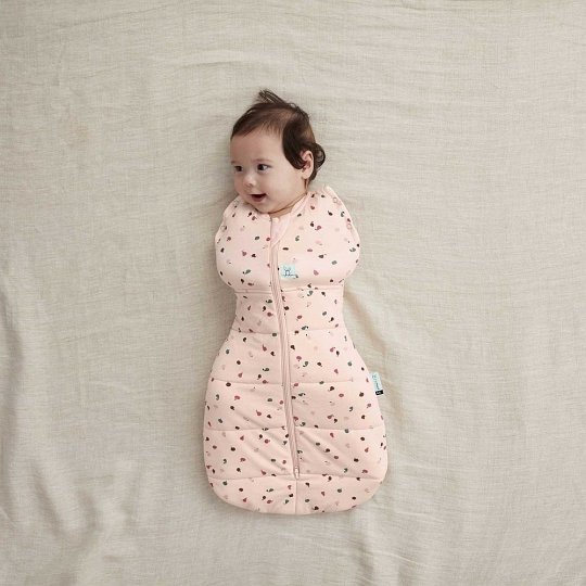 ergoPouch Otulacz Śpiworek 3-6M 2.5TOG Cute Fruit