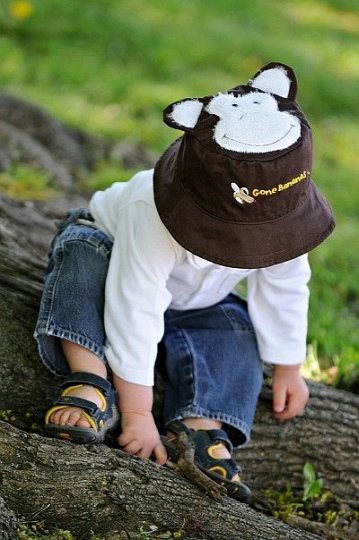 FlapJack Kapelusz Lew/Małpka M