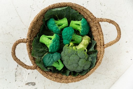 Oli & Carol Gryzak Zabawka Brokuł Brucy Broccoli