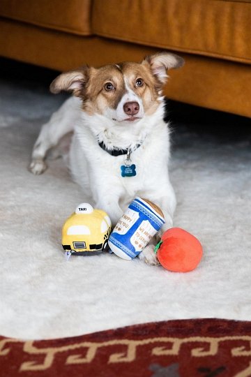 Pearhead Zabawka Dla Psa New Bark City