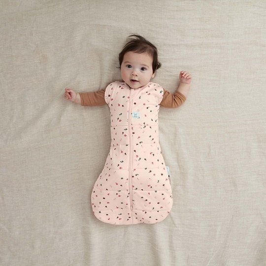 ergoPouch Otulacz Śpiworek 0-3M 2.5TOG Cute Fruit