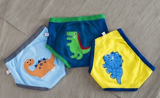 Zoocchini Majtki Treningowe Boy 2-3