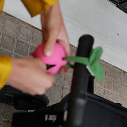 Oli & Carol Etui na Smoczek Rzodkiewka Ramona