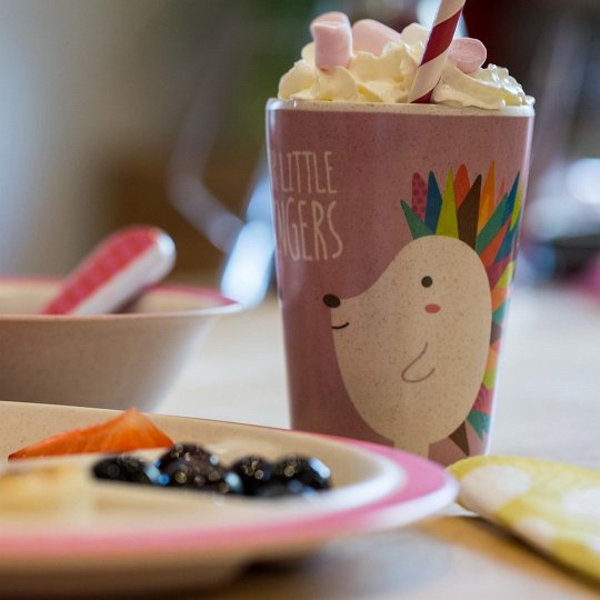 For Little Fingers Zestaw Obiadowy Jeż