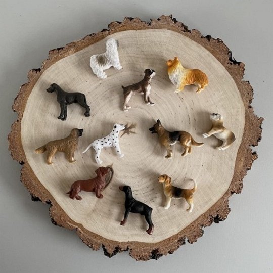 Safari Ltd. Zestaw Figurek - Psy