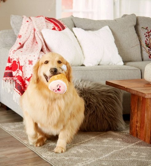 Pearhead Zabawka Dla Psa Pluszowa M.C.Hammy