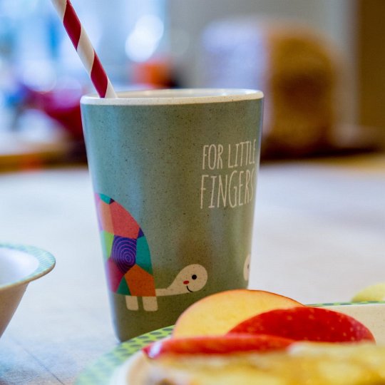 For Little Fingers Zestaw Obiadowy Żółw