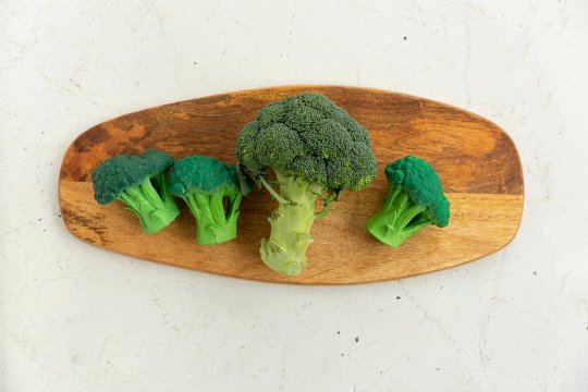 Oli & Carol Gryzak Zabawka Brokuł Brucy Broccoli