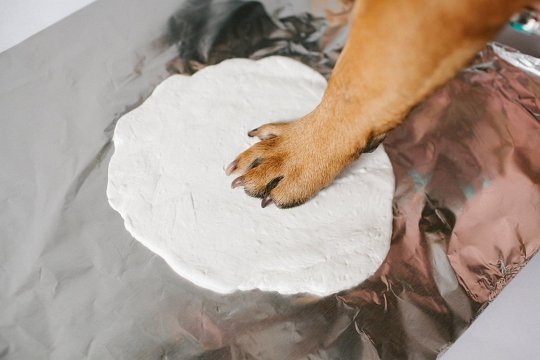 Pearhead Odcisk Łapy Pupila Zawieszka