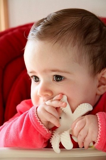 Mombella Gryzak Zabawka Ośmiornica Orange