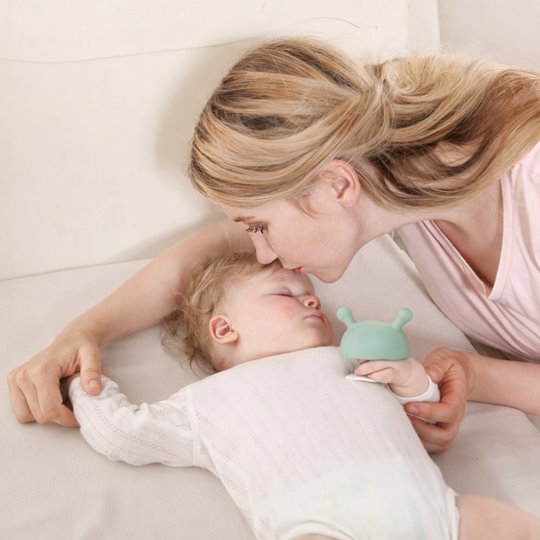 Mombella Gryzak Grzybek Mushroom Eucalyptus