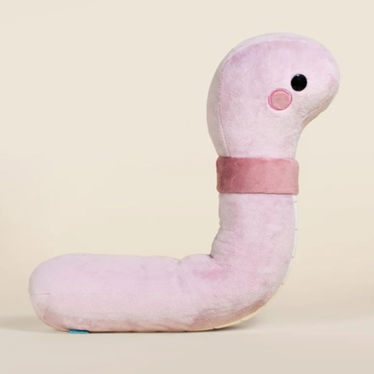 Bellzi Pluszowa Dżdżownica Wormi