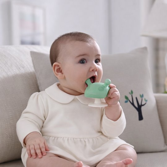 Mombella Gryzak Grzybek Mushroom Eucalyptus