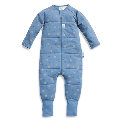 Zdjęcie ergoPouch Śpiworek z nogawkami 12-24M 2.5TOG Petite Pretzel