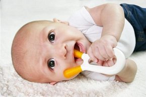 ZoLi Gryzak Bunny Pink & White 2 szt