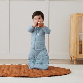 ergoPouch Śpiworek Jersey z Rękawami 8-24M 3.5TOG Dragonflies