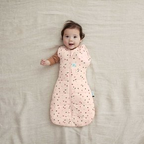 ergoPouch Otulacz Śpiworek 3-6M 2.5TOG Cute Fruit
