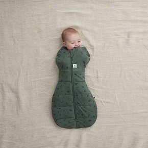 ergoPouch Otulacz Śpiworek 3-6M 2.5TOG Veggie Patch