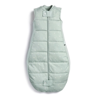 ergoPouch Śpiworek 2-4Y 2.5TOG