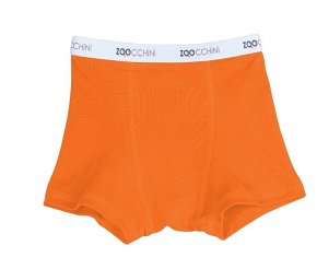 Zoocchini Bokserki Chłopięce Orange 4-5