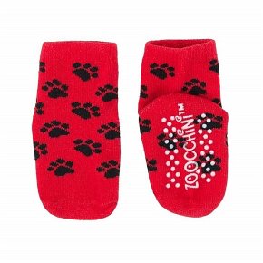 Zoocchini Legginsy i Skarpetki Miś 12-18M