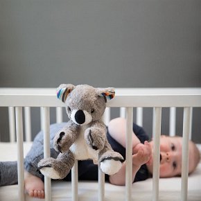 Zazu COCO Szumiąca Przytulanka Koala