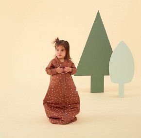 ergoPouch Śpiworek Kombinezon 8-24M 2.5TOG Acorn