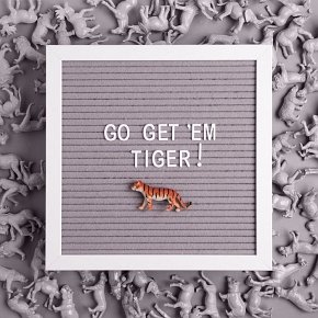 Pearhead Tablica z Literkami Gray